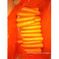 New Crop Good Quality Fresh Carrot